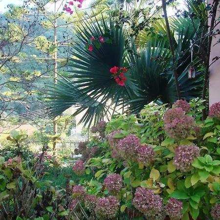 Apartament Konstantina Agios Gordios (Corfu)